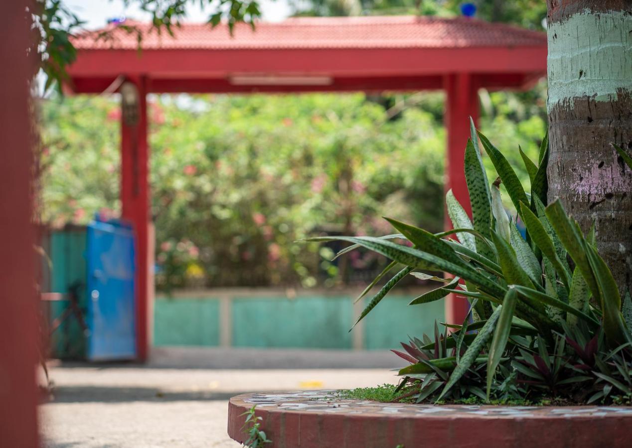 Palm Grove Eco Resort Port Blair Kültér fotó