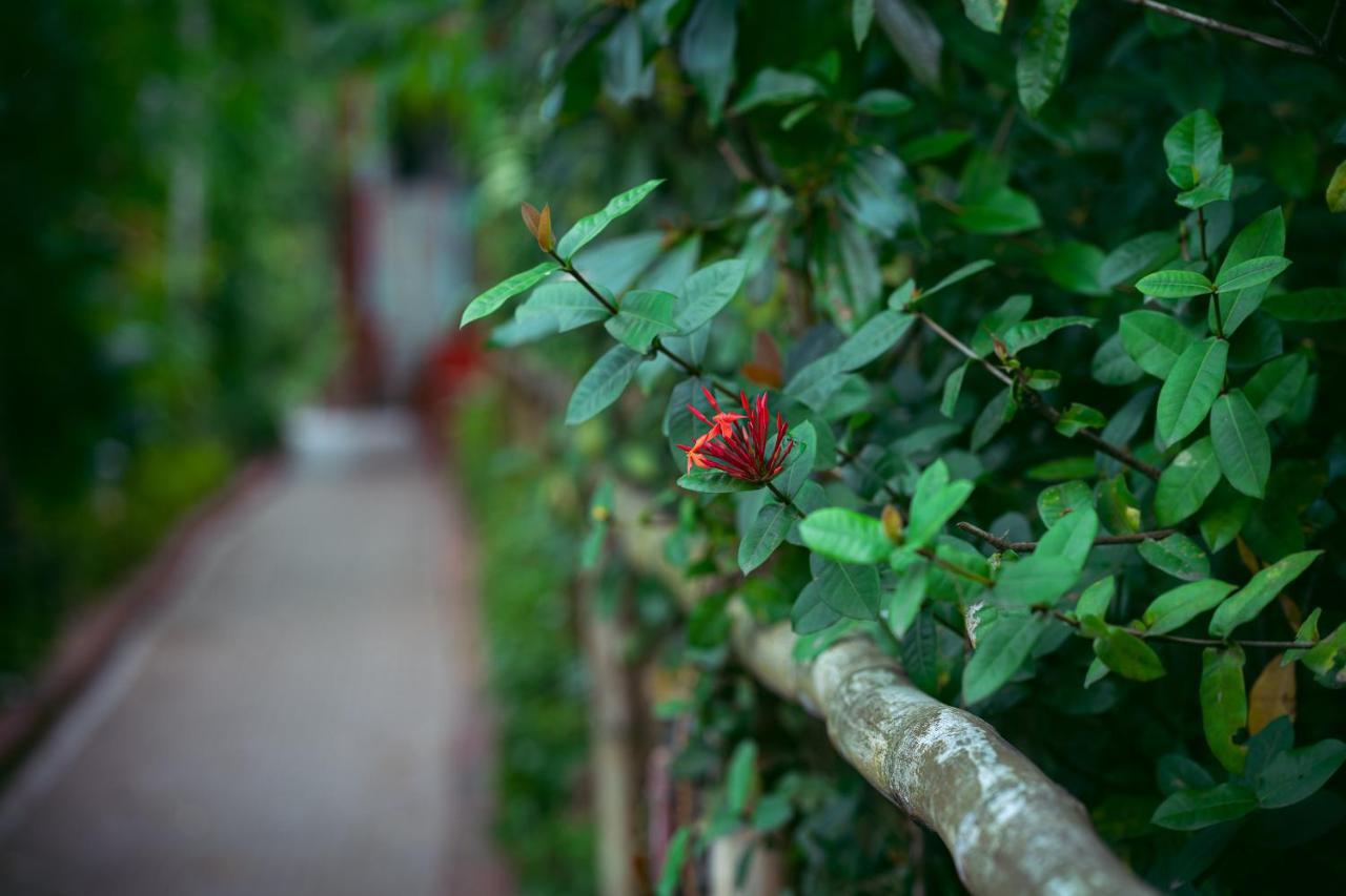 Palm Grove Eco Resort Port Blair Kültér fotó
