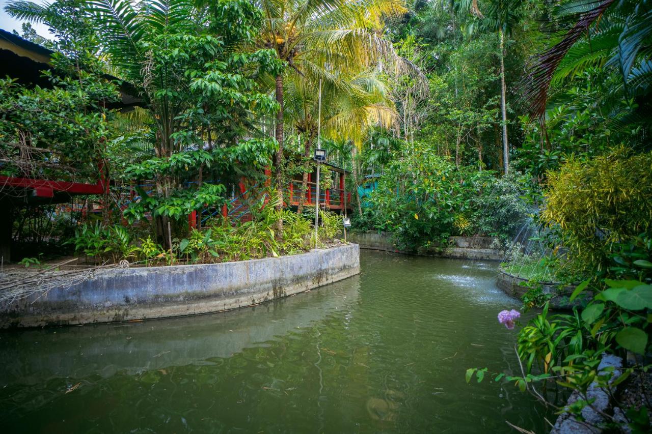 Palm Grove Eco Resort Port Blair Kültér fotó