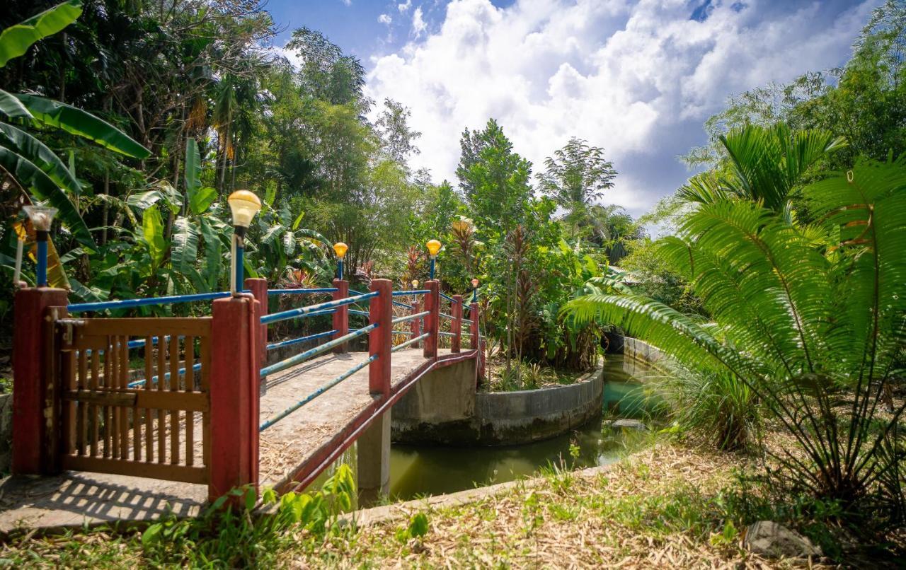 Palm Grove Eco Resort Port Blair Kültér fotó